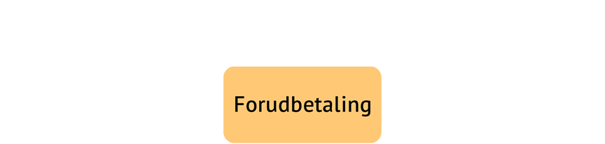 Billede Forudbetaling